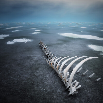 На краю света. Стылые земли