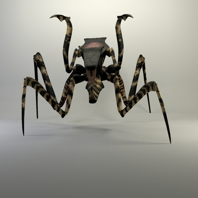 Warrior Bug