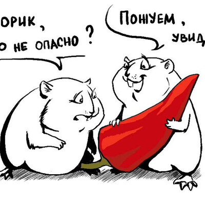 перцы