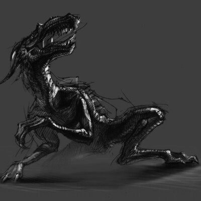 Dragon Sketch