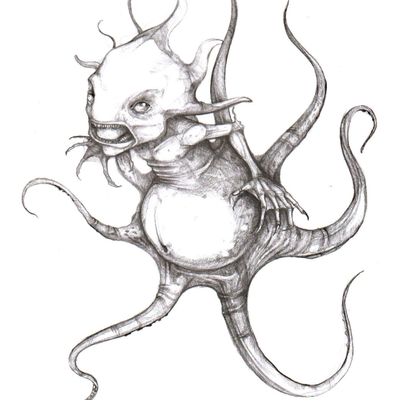 Octobus