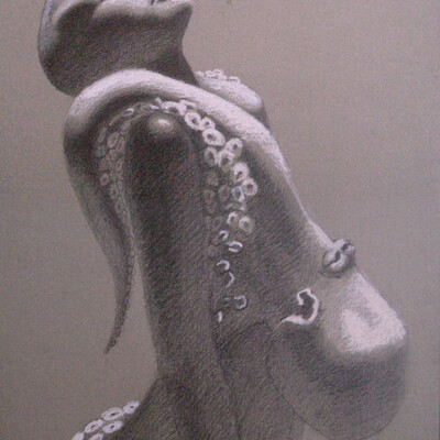 octopus