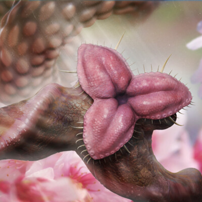 Мимикрия