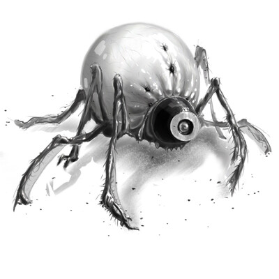 Araneae