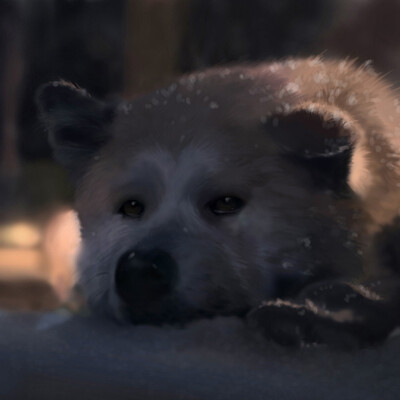Hachiko, самый верный друг