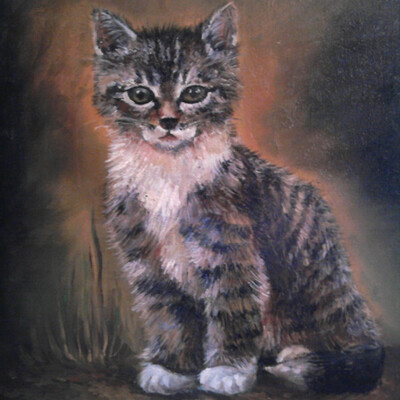 Котенок