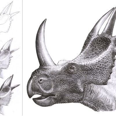 Rubeosaurus ovatus