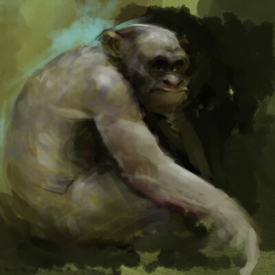 Monkey