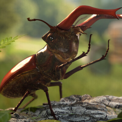 Lucanus cervus