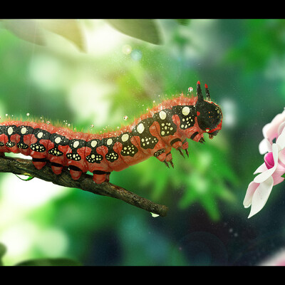 Devil Caterpillar