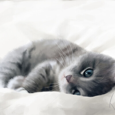Котенок