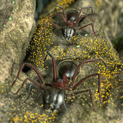Ползучие(macro)