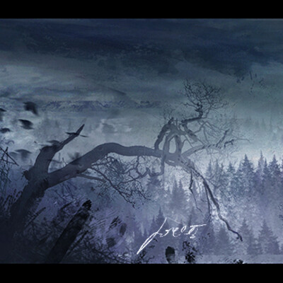 Forest view