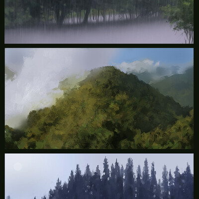 Landscapes 