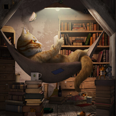 Книжный кот