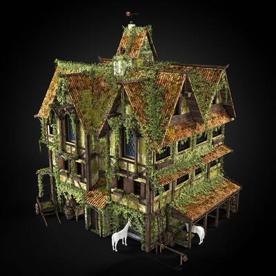 Medieval Tavern