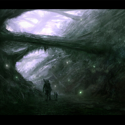 Misty forest