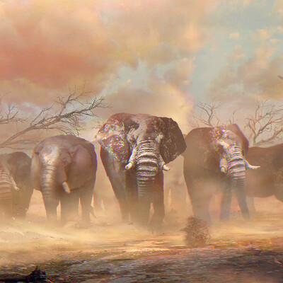 Call of the Wild