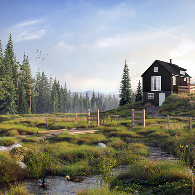 Northern landscapes
