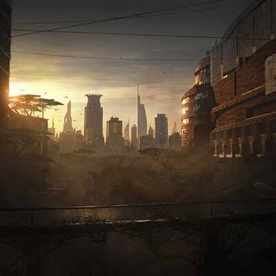 Shanghai Jungle