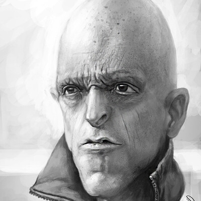 Майкл Берриман