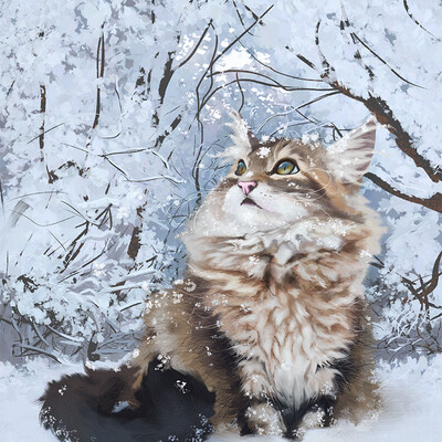кот