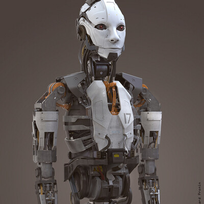 Human-robot design