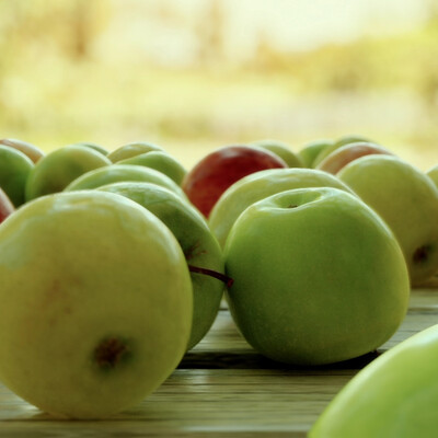 Fruits and Liquids - REEL