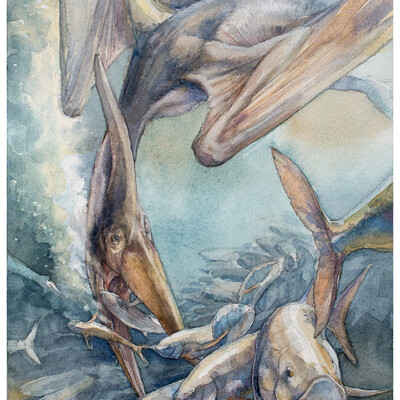 Pteranodon longiceps 