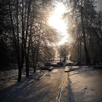 Парк зимой.