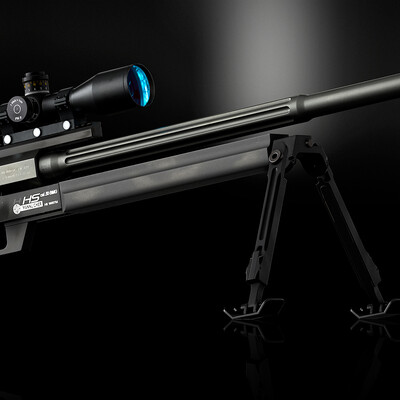 Steyr HS .50