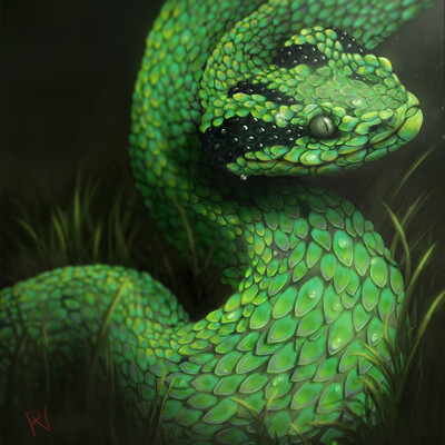 Green Snake