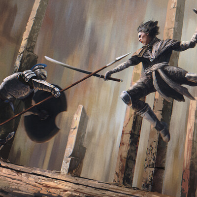 Shadow fight
