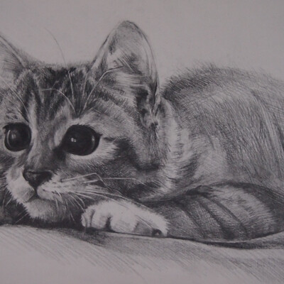 Котейка
