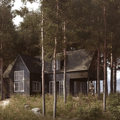 боковой поток House