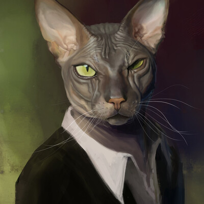 Портрет моего кота