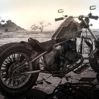 Harley-Davidson Custom