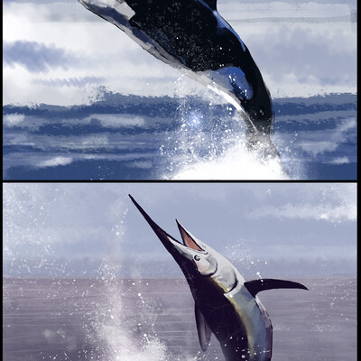 Sea