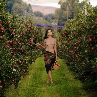 Яблоки