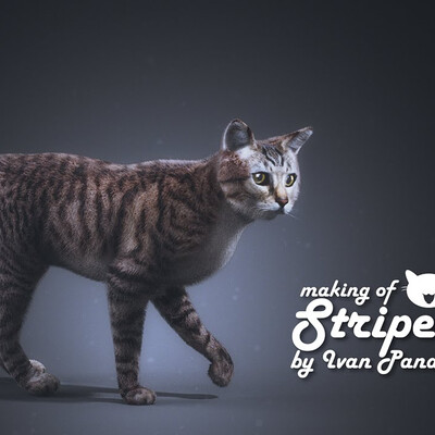 Cat - making of