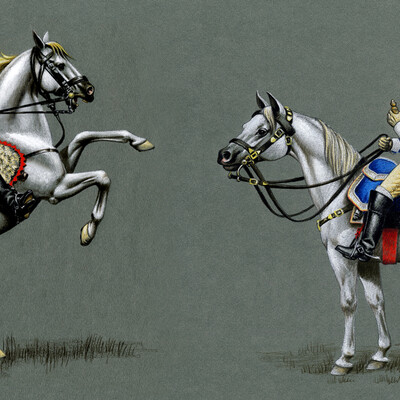 Французские кирасиры 1812 г. , рядовой и офицер. 