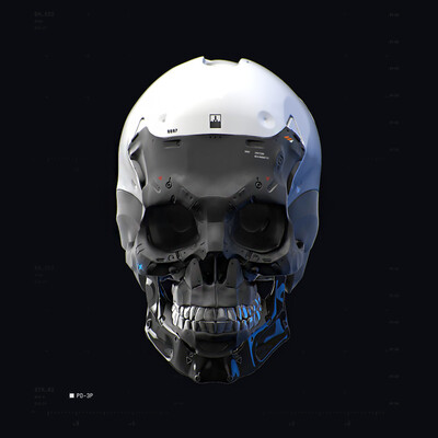 Cyborg Skull