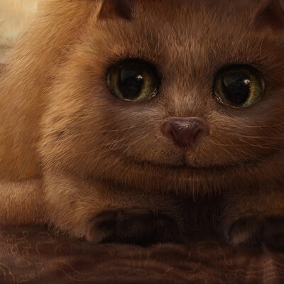 " Кошачьи мысли ".