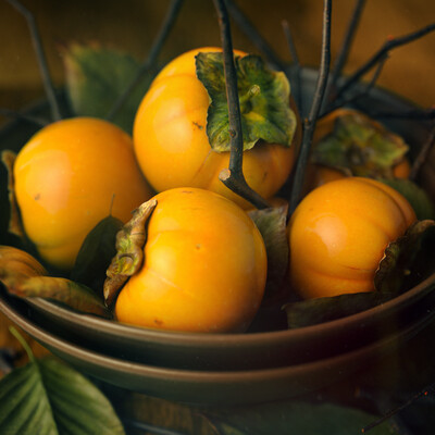 PERSIMMON