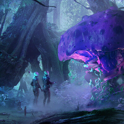  mysterious jungle