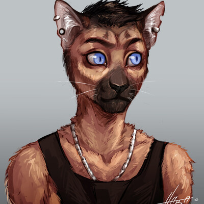 Кот