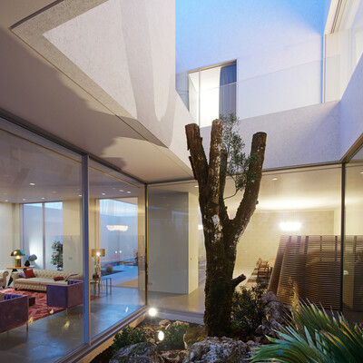 Wall House
