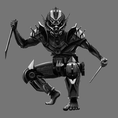 Raider