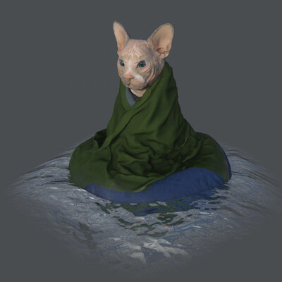 Кот Василий 