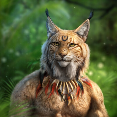 Каджит Khajiit /The Elder Scrolls V: Skyrim